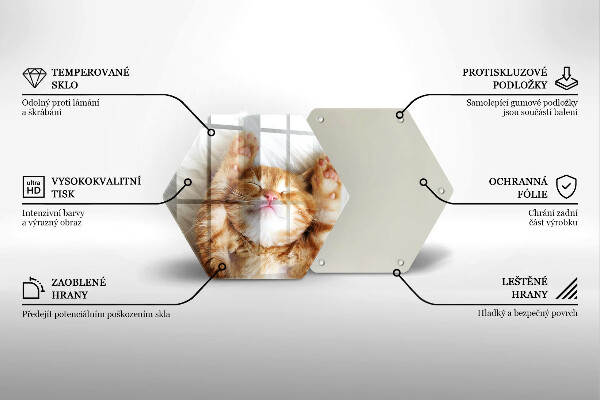 Kitchen worktop protector Little sweet kitty