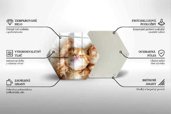 Kitchen worktop protector Little sweet kitty