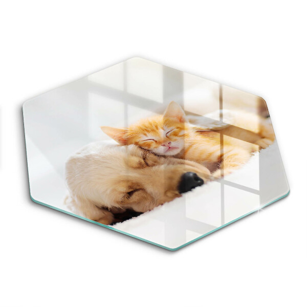 Chopping board glass Animals dog and cat