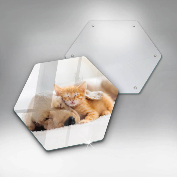 Chopping board glass Animals dog and cat