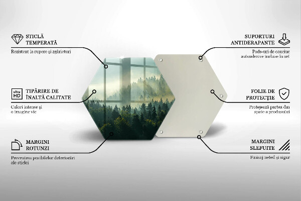 Kitchen worktop protector Landscape view of the forest