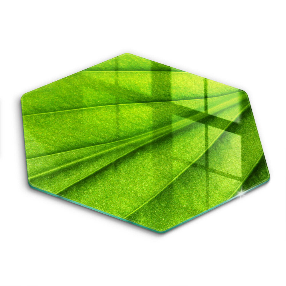 Kitchen worktop protector Nature leaf veins