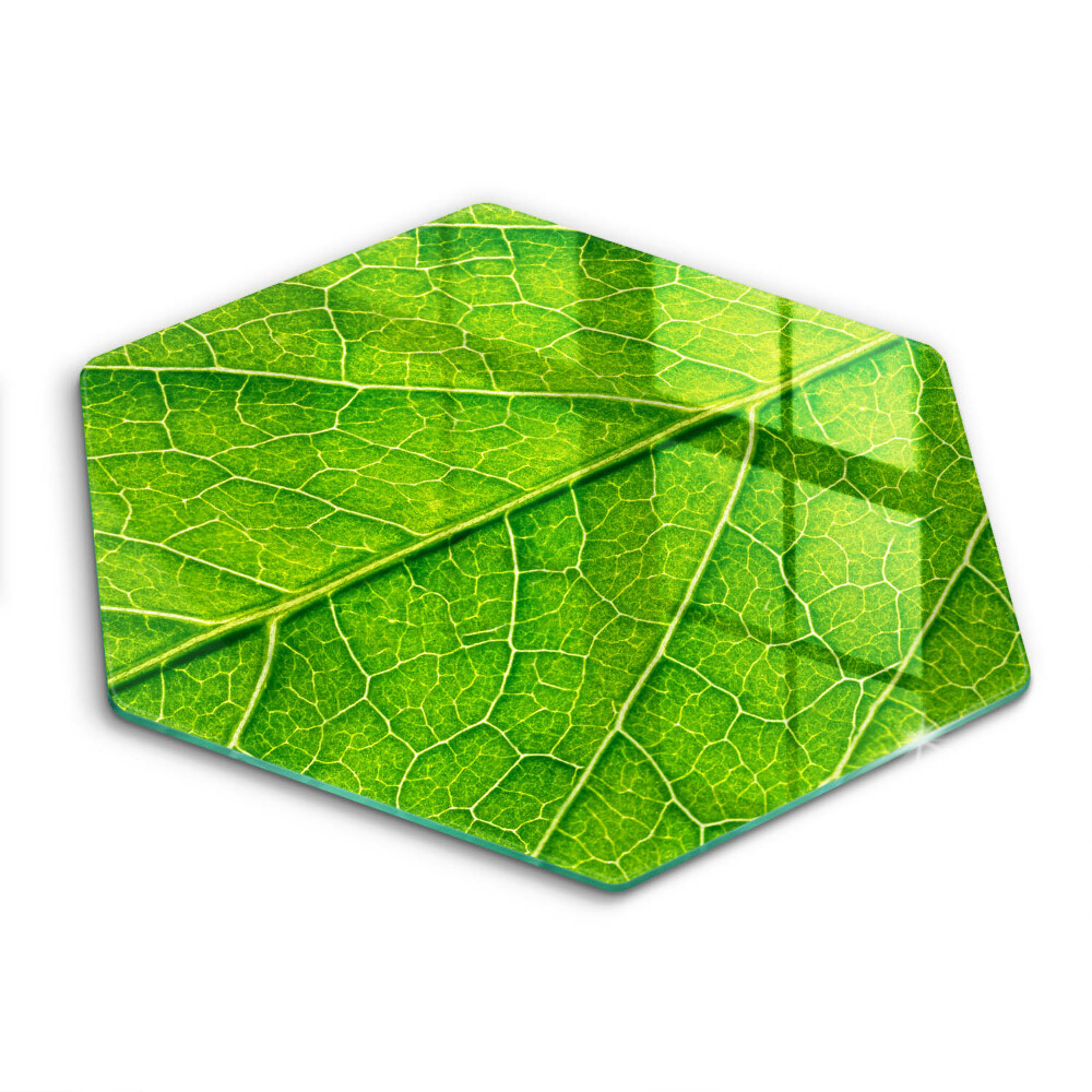 Kitchen worktop protector Leaf lines nature