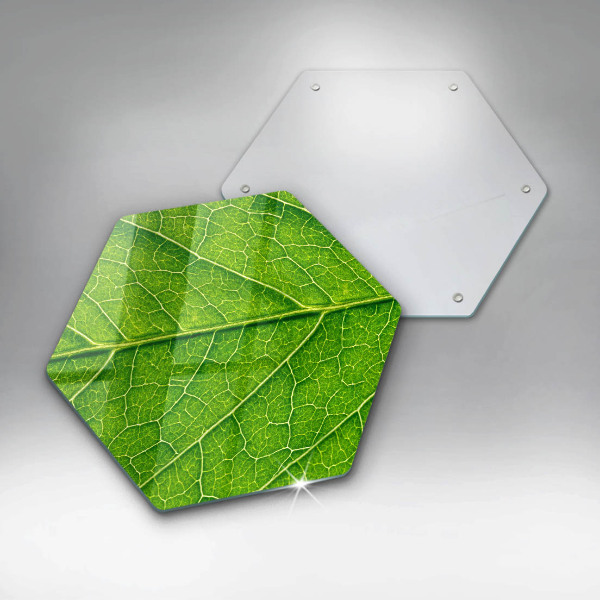 Kitchen worktop protector Leaf lines nature