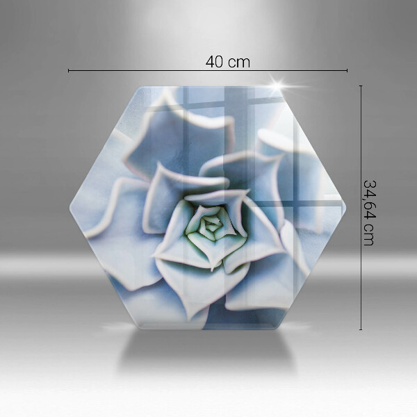 Kitchen worktop protector Flower plant