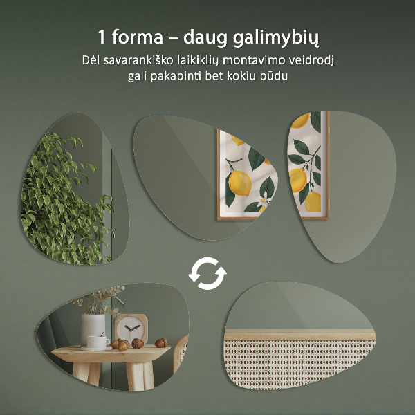 Ovoid mirror 64x90 cm