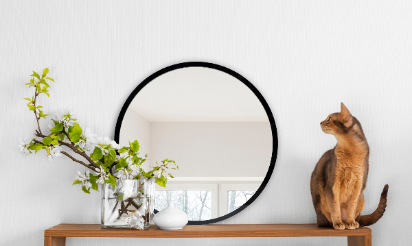 Round mirror for hallway with black frame 20 in