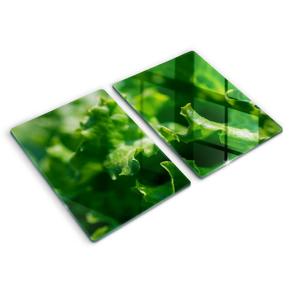 Kitchen worktop saver Lettuce leaves
