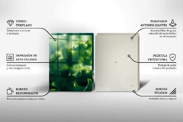 Kitchen worktop saver Lettuce leaves