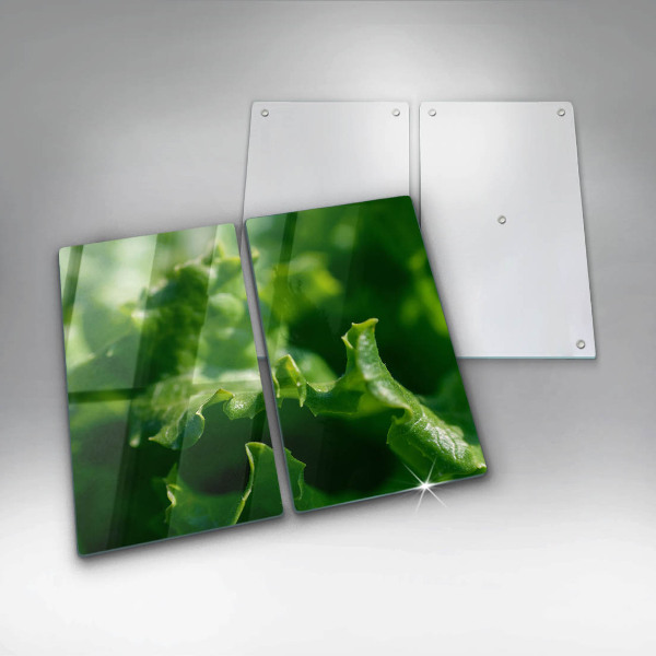 Kitchen worktop saver Lettuce leaves