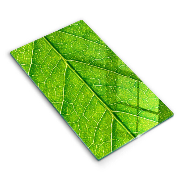 Glass worktop saver Leaf lines nature