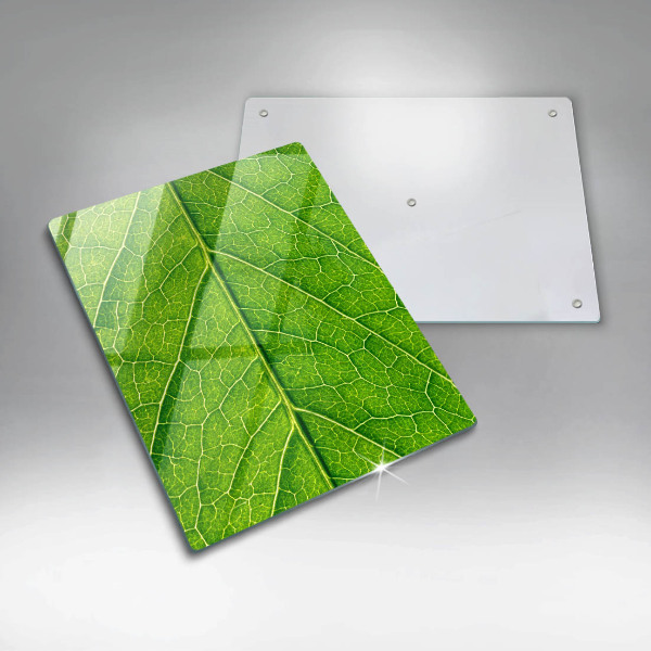 Glass worktop saver Leaf lines nature