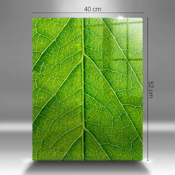 Glass worktop saver Leaf lines nature