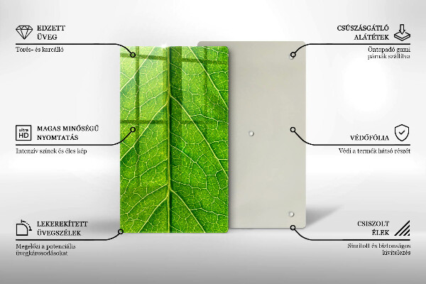 Glass worktop saver Leaf lines nature