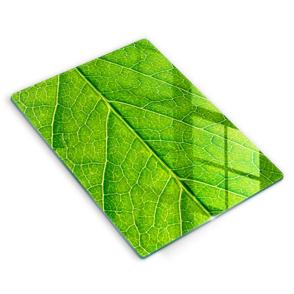 Glass worktop saver Leaf lines nature