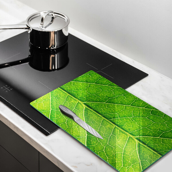 Glass worktop saver Leaf lines nature