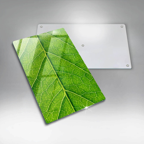 Glass worktop saver Leaf lines nature