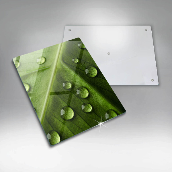 Glass worktop saver Nature Rosa and Leaf