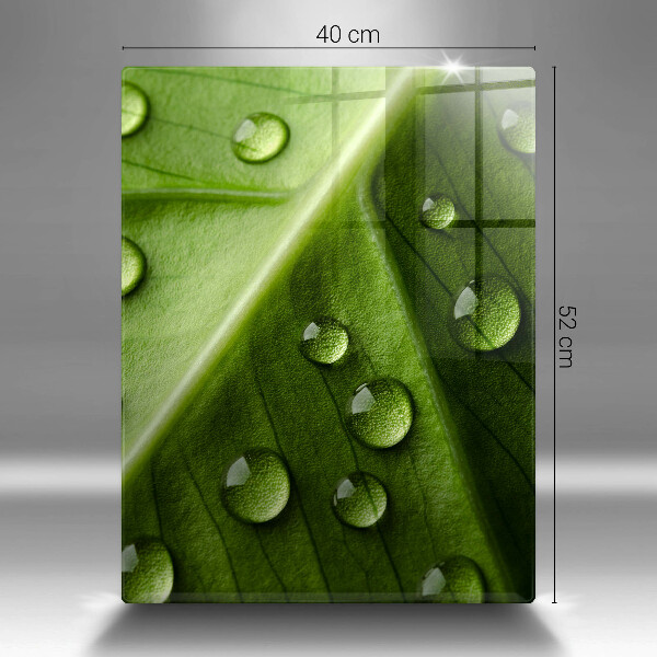 Glass worktop saver Nature Rosa and Leaf