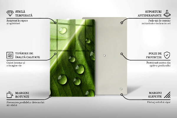 Glass worktop saver Nature Rosa and Leaf