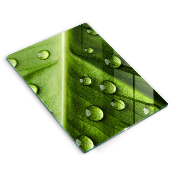 Glass worktop saver Nature Rosa and Leaf