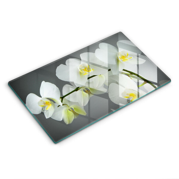 Induction hob protector White orchid flowers