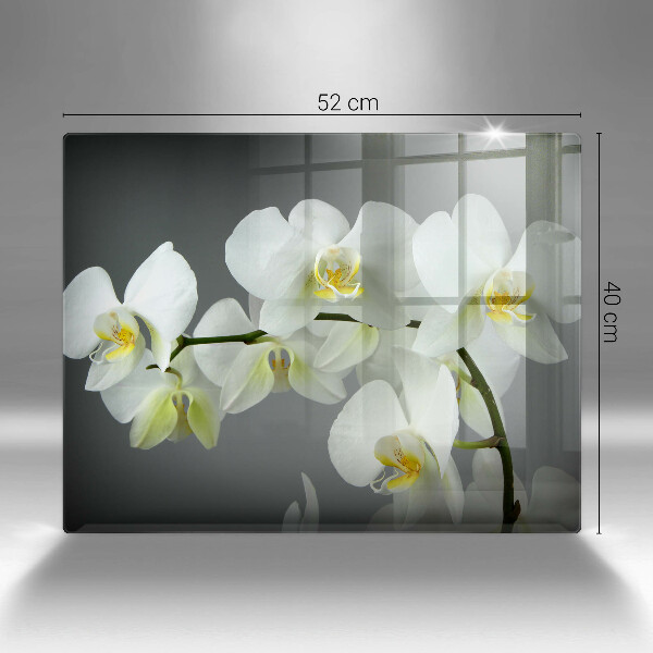 Induction hob protector White orchid flowers