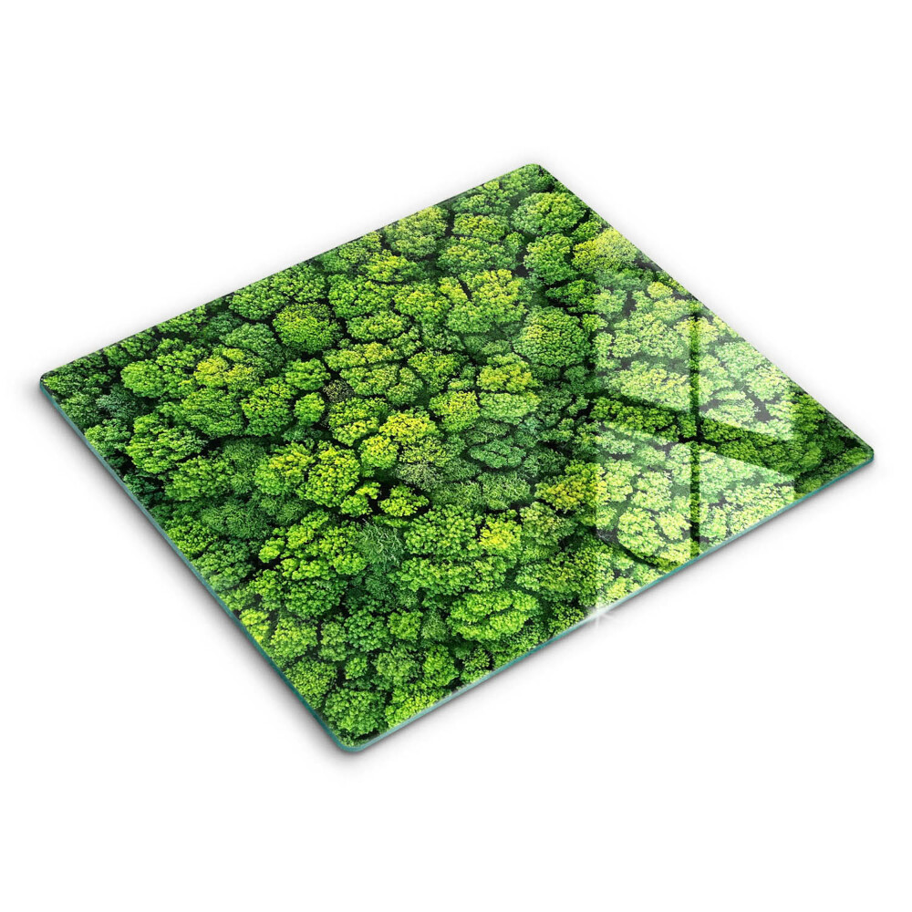 Induction hob protector Nature - moss plant