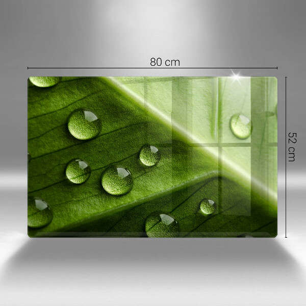 Induction hob cover Nature Rosa and Leaf