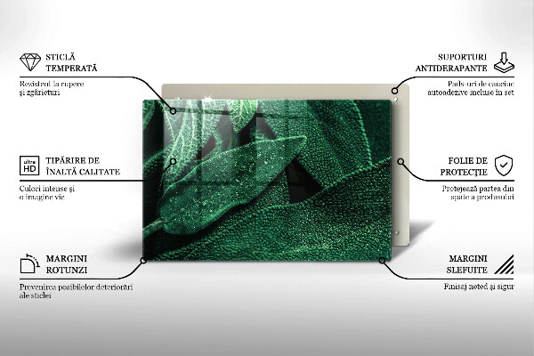 Induction hob protector Plant leaves