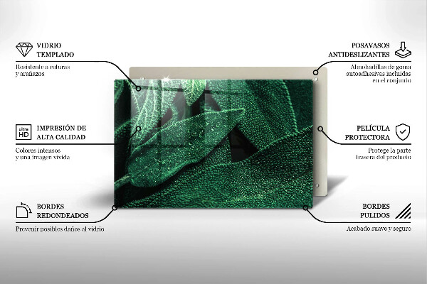 Induction hob protector Plant leaves