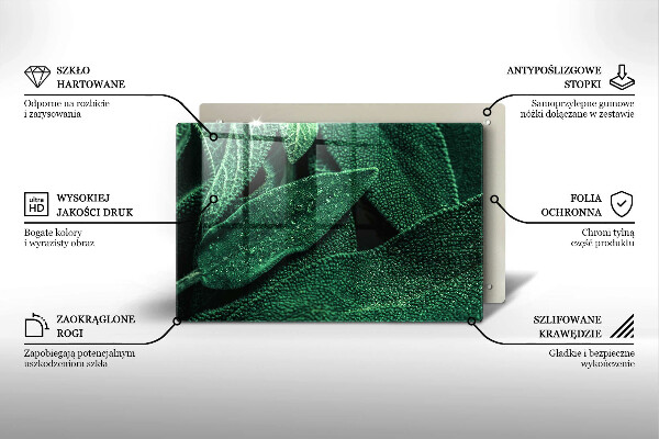 Induction hob protector Plant leaves