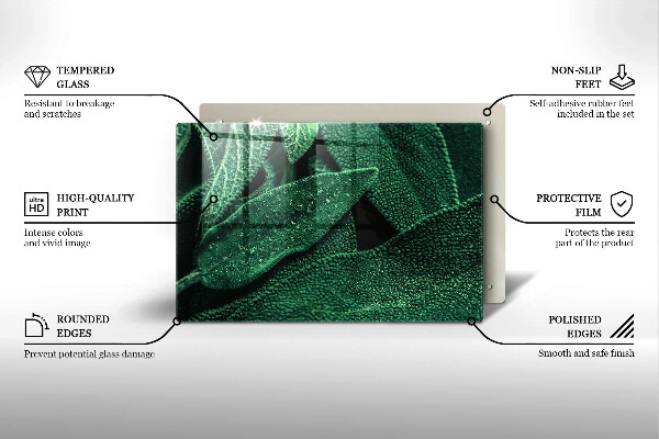 Induction hob protector Plant leaves