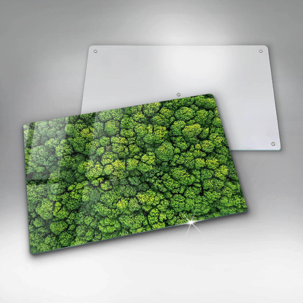 Induction hob protector Nature - moss plant