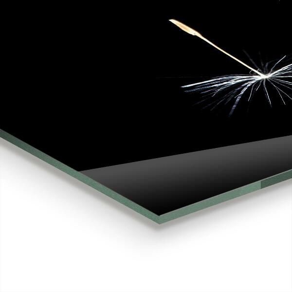 Kitchen wall panels Dandelion dandelion in the wind