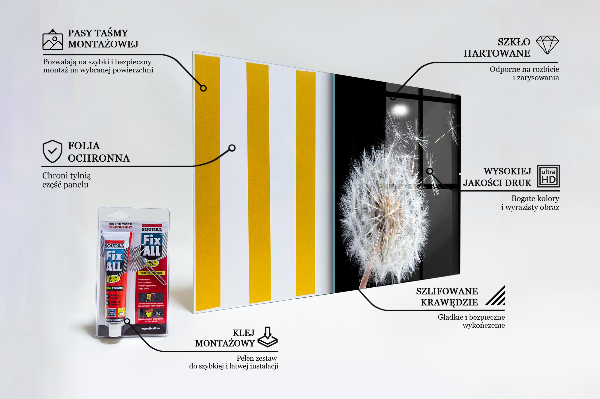 Kitchen wall panels Dandelion dandelion in the wind