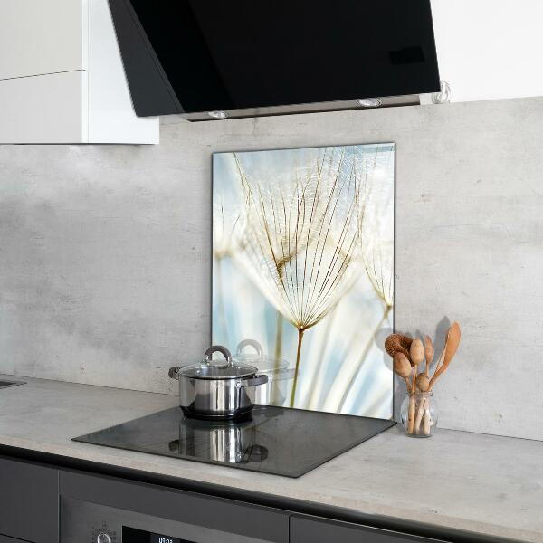 Kitchen wall panels Dandelion dandelion in the wind