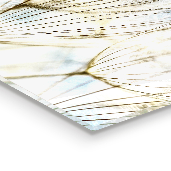 Kitchen wall panels Dandelion dandelion in the wind