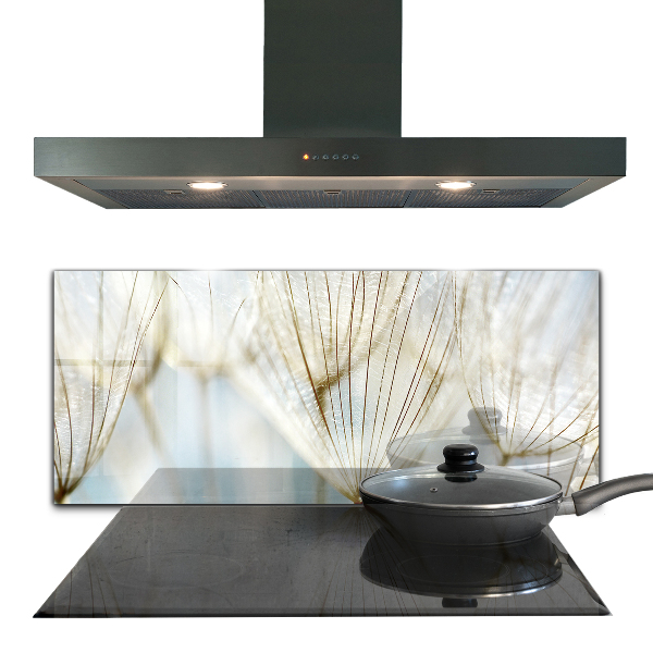 Kitchen wall panels Dandelion dandelion in the wind