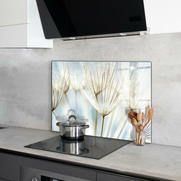 Kitchen wall panels Dandelion dandelion in the wind