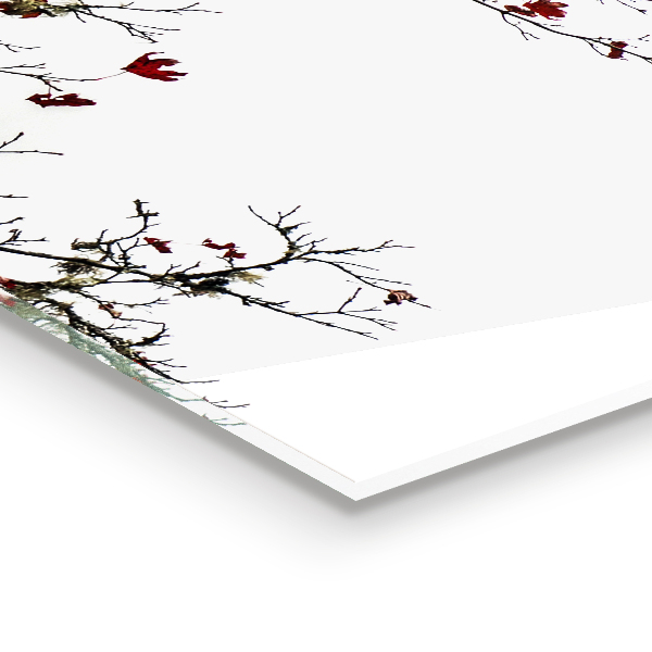 Kitchen glass panel Landscape peace of mind