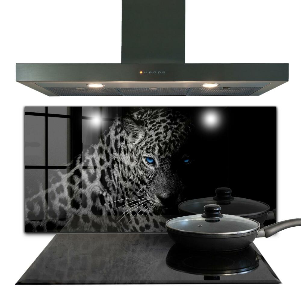 Hob splashback Dark panther wild cat