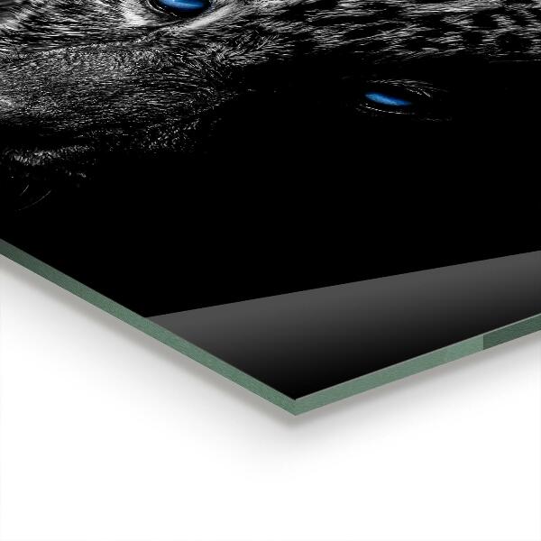 Hob splashback Dark panther wild cat