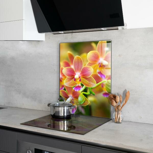 Kitchen wall panels Orange orchid