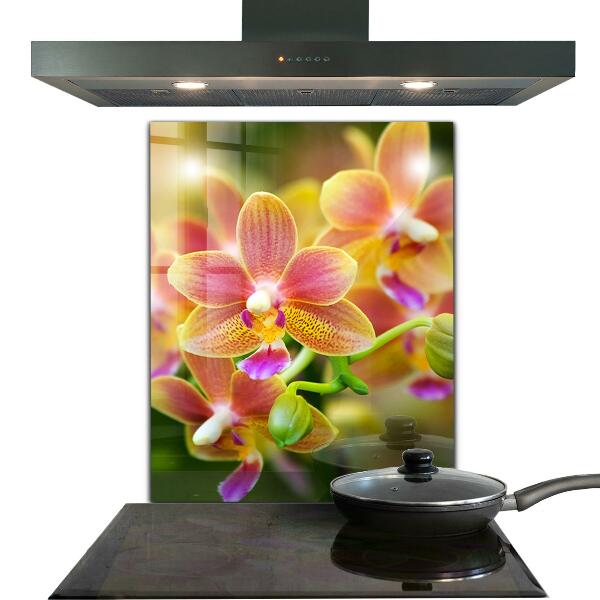 Kitchen wall panels Orange orchid