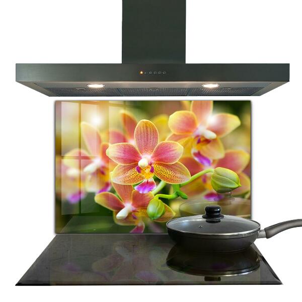 Kitchen wall panels Orange orchid