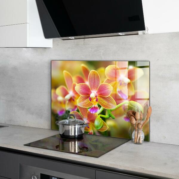 Kitchen wall panels Orange orchid