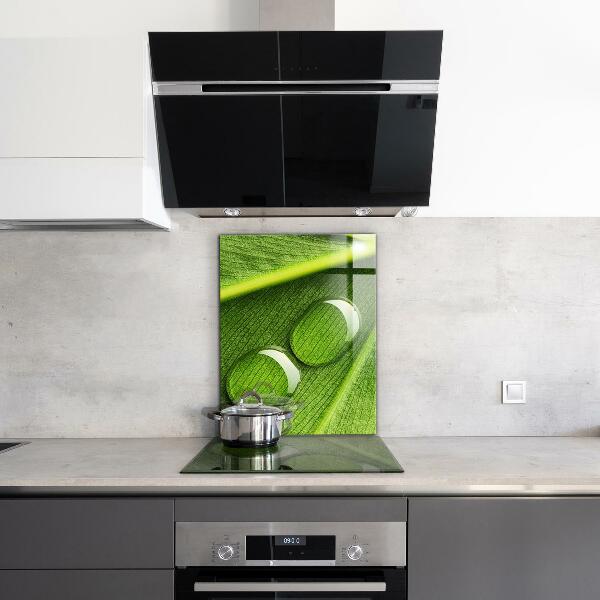 Kitchen wall panels Dew drop on a leaf
