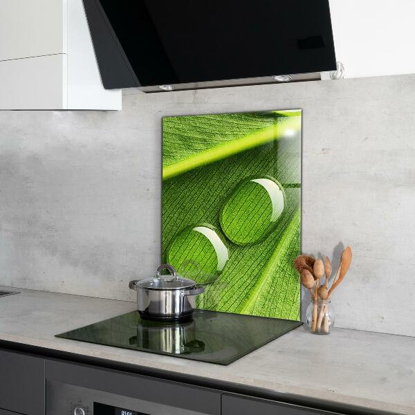 Kitchen wall panels Dew drop on a leaf