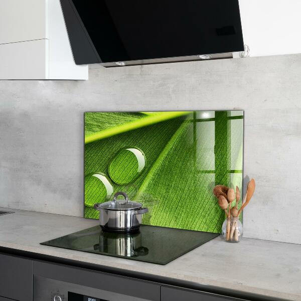 Kitchen wall panels Dew drop on a leaf